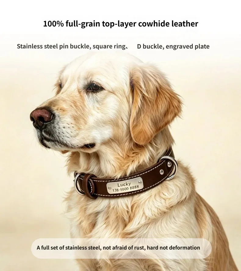 Collar de Cuero para Perro con Placa Identificación – Ajustable y Resistente - imagen 2