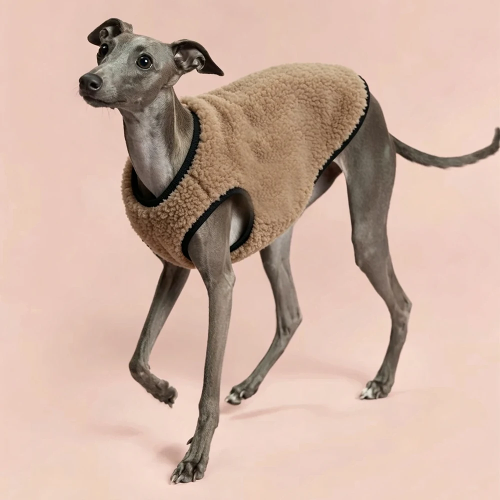 Mono abrigo polar para Galgo Italiano y Whippet – Ropa térmica perros - imagen 3