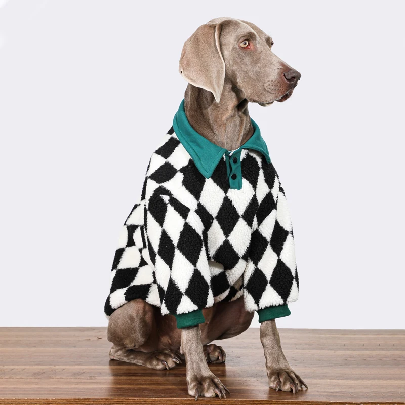 Perro con prenda ABQP