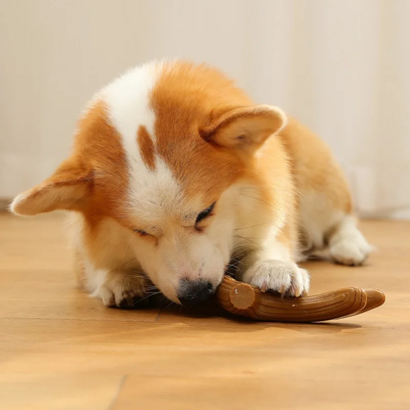 Hueso de Bambú para Perros – Juguete Interactivo de Masticación y Limpieza Dental - imagen 3