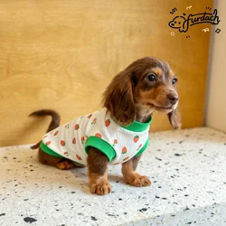 Chaleco suave de algodón para perros salchicha – estilo fresa