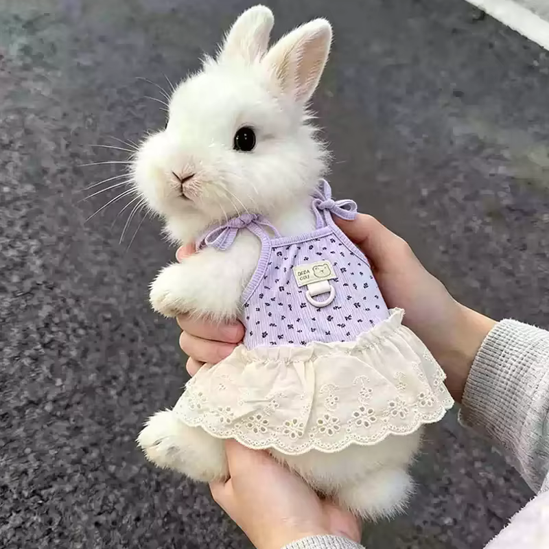 Vestido floral estilo princesa de verano para chihuahua y bichón - imagen 5