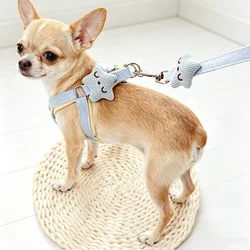 Conjunto arnés y correa transpirable para perro y gato de paseo