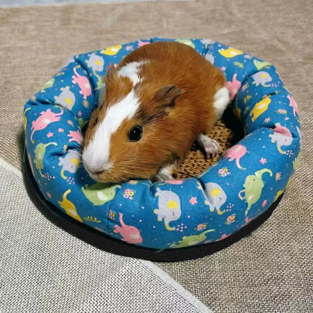 Cama de verano redonda para roedores y conejillos de indias - imagen 4
