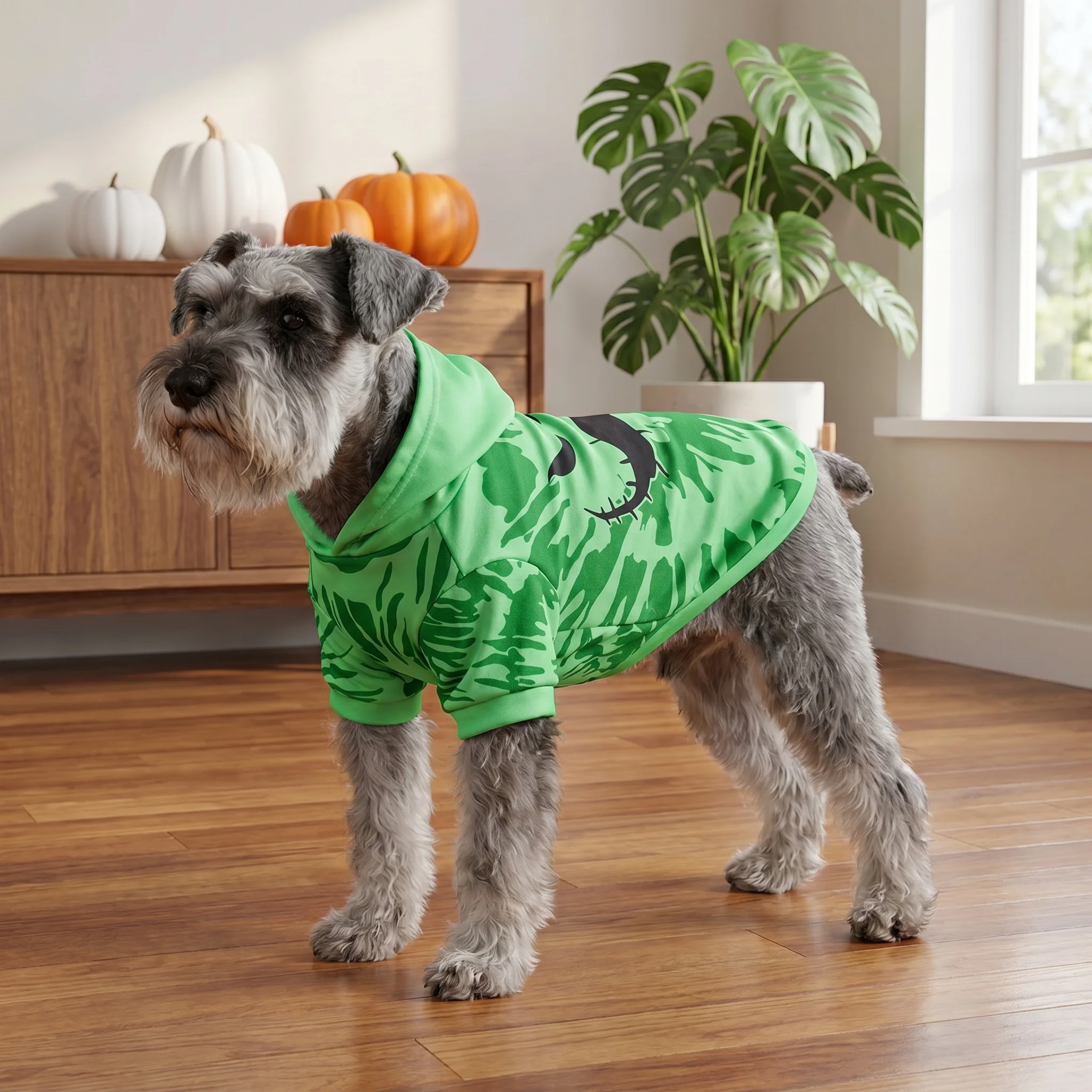 Sudadera de Halloween para perros y gatos con capucha de calabaza
