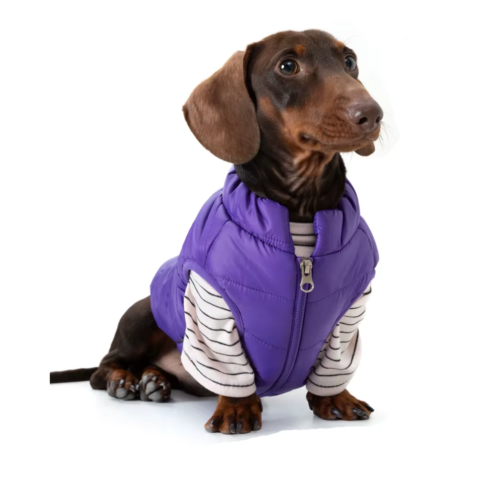 Chaqueta de invierno ligera para perros Dachshund, cortavientos cálido - imagen 3