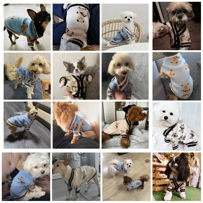 Suéter Oso para Perros – Cárdigan Cálido para Chihuahua y Bichón - imagen 3