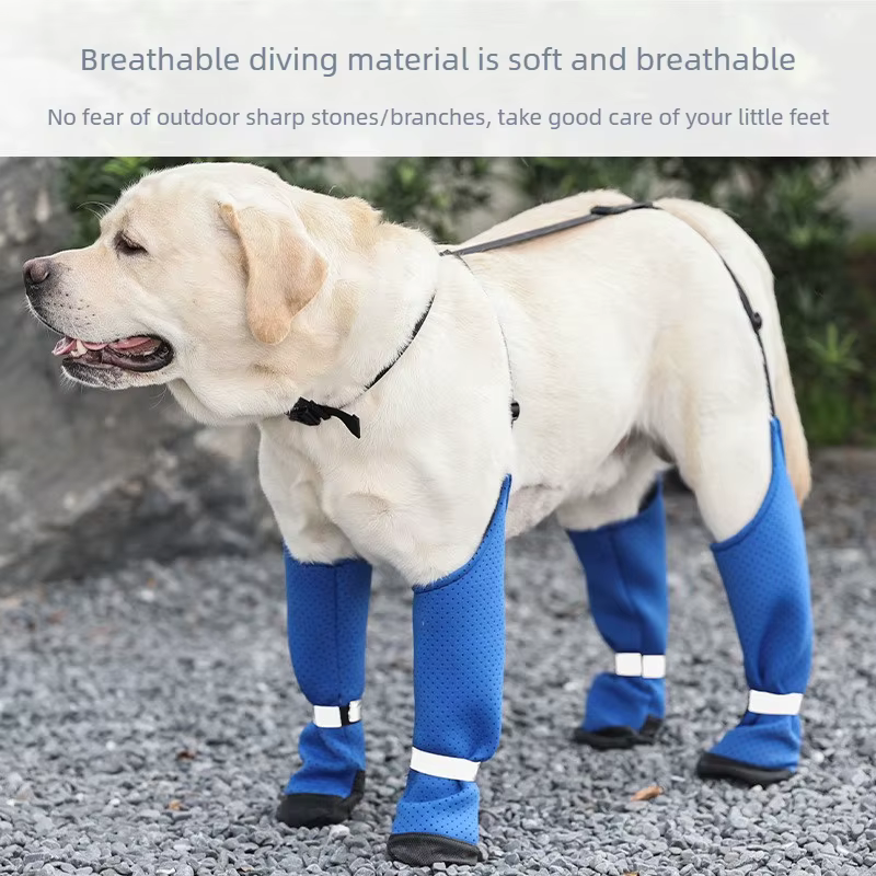 Zapatos para perros transpirables de verano – Antideslizantes y resistentes para paseos - imagen 4