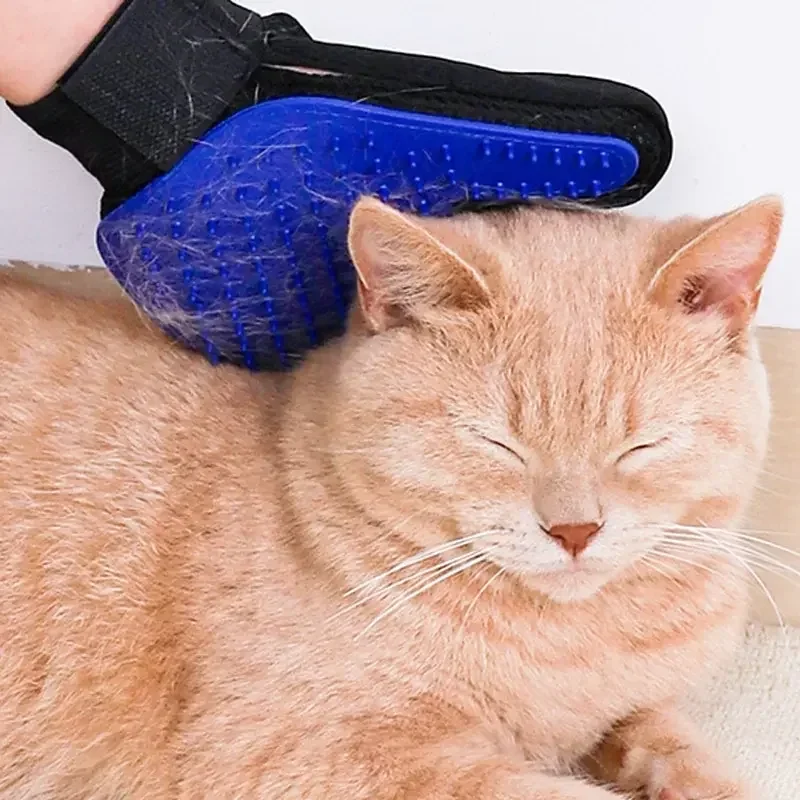 Guante de aseo con silicona azul para mascotas