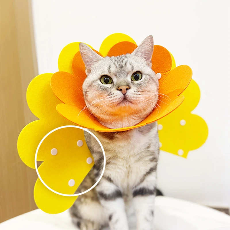 Collar protector para gato