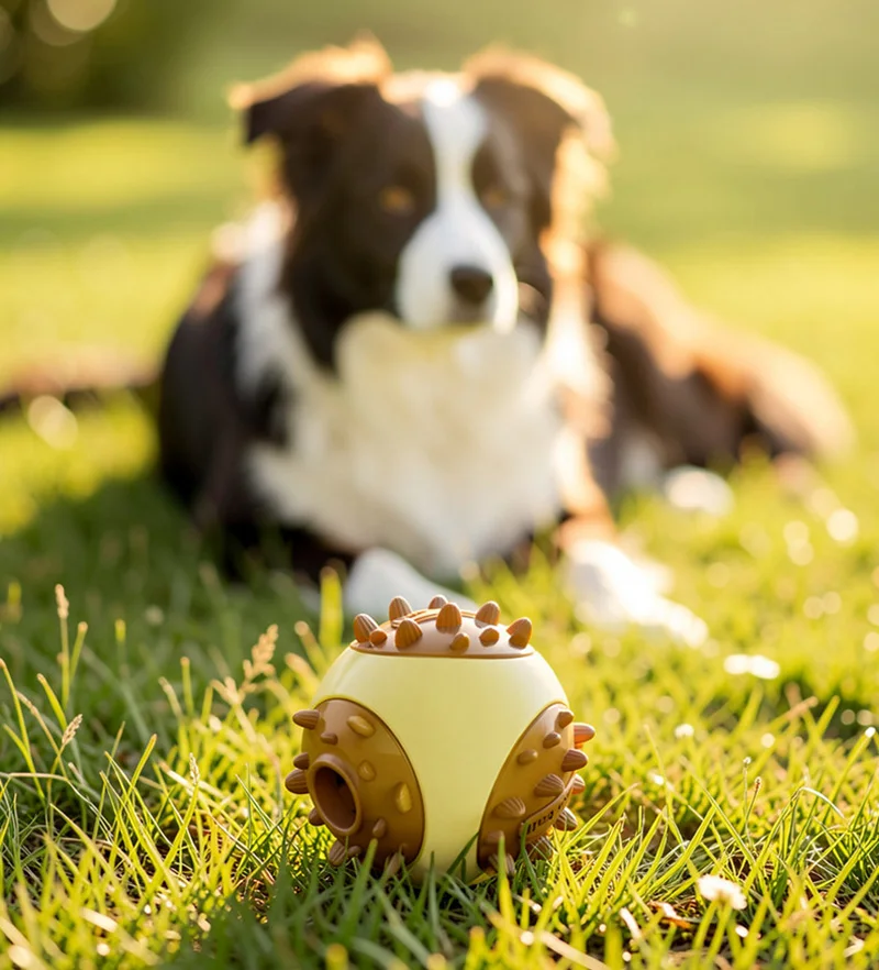 Perro grande jugando con el juguete en el jardín