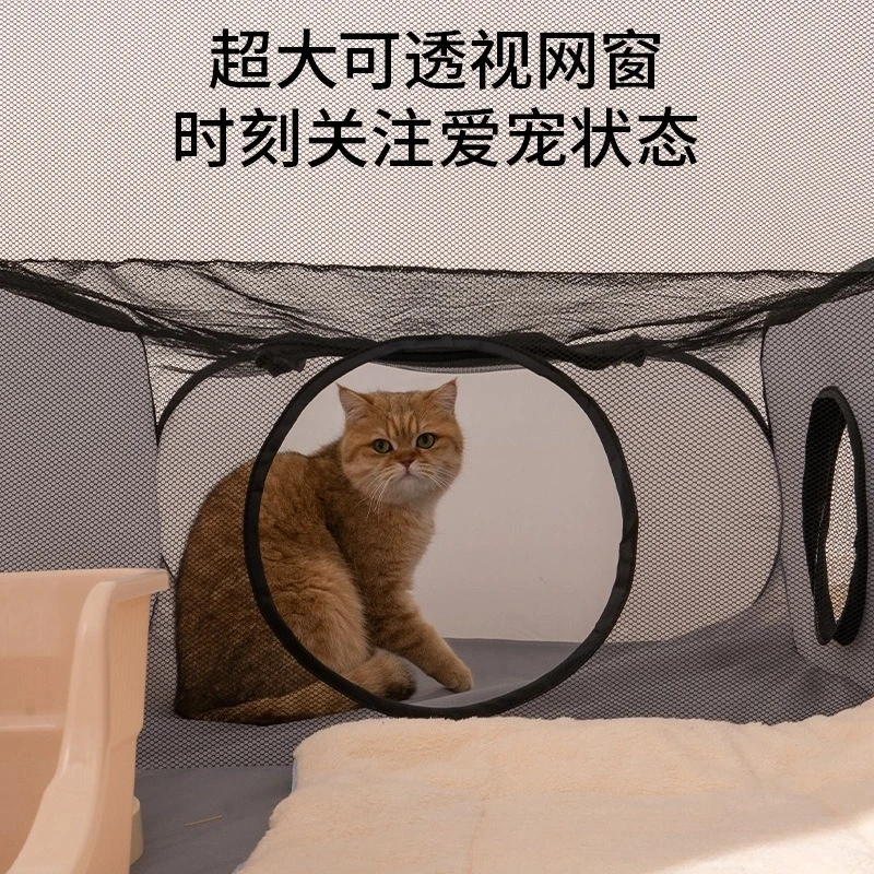 Túnel plegable lavable desmontable para gatos y perros, cuarto de partos - imagen 4