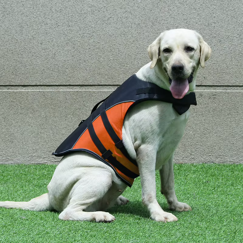 Chaleco salvavidas reflectante ajustable para perros y gatos - imagen 2
