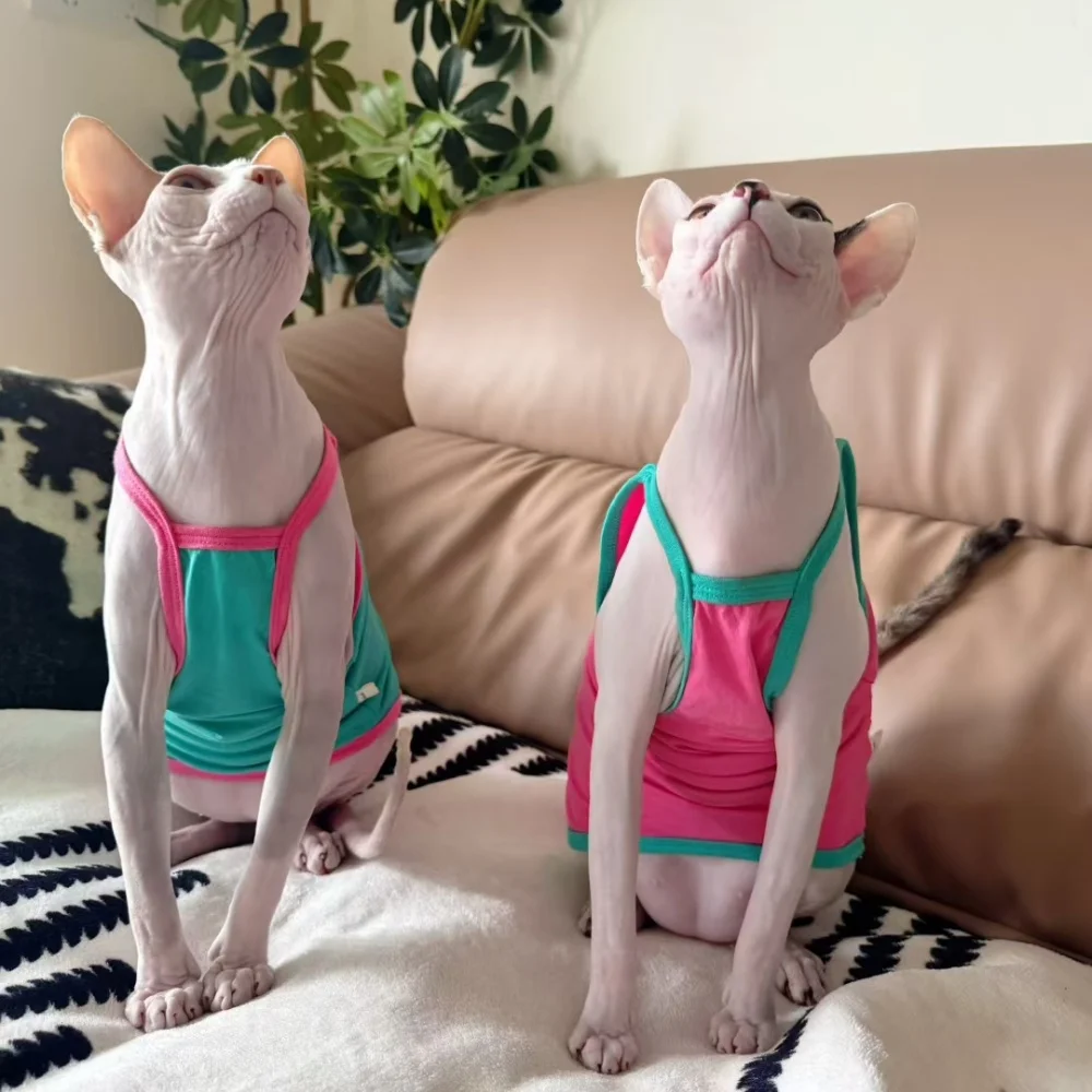 Camiseta sin mangas para gato sin pelo