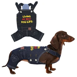 Peto vaquero vintage japonés azul con bordado para perro salchicha