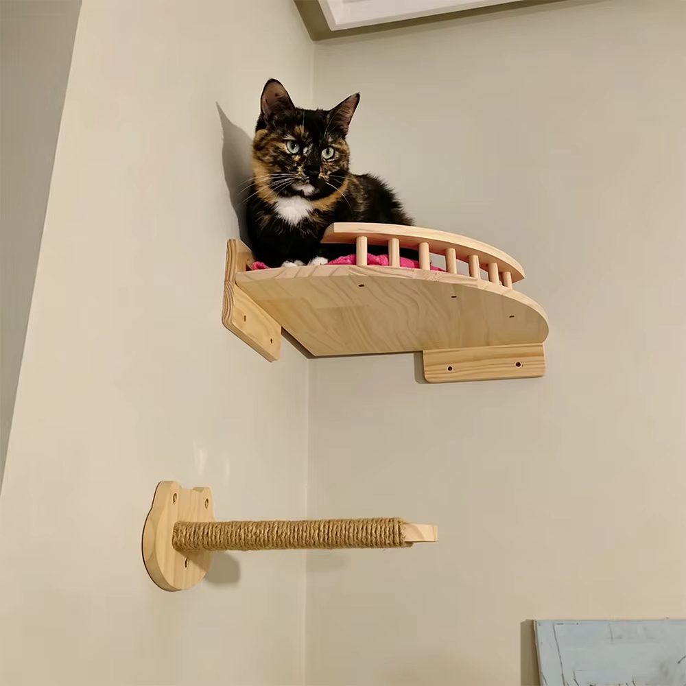 Gato usando los estantes de escalada del mueble