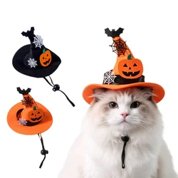 Disfraz de Halloween para gatos: capa y gorro con sombrero