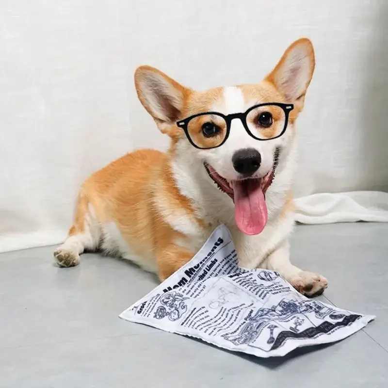 Juguete para perros con sonido, resistente y lavable para perros pequeños - imagen 2