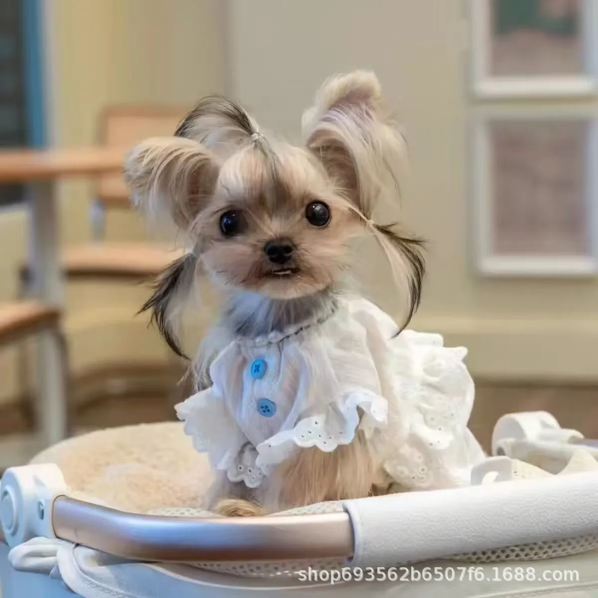 Vestido a rayas de primavera para mascotas en gato