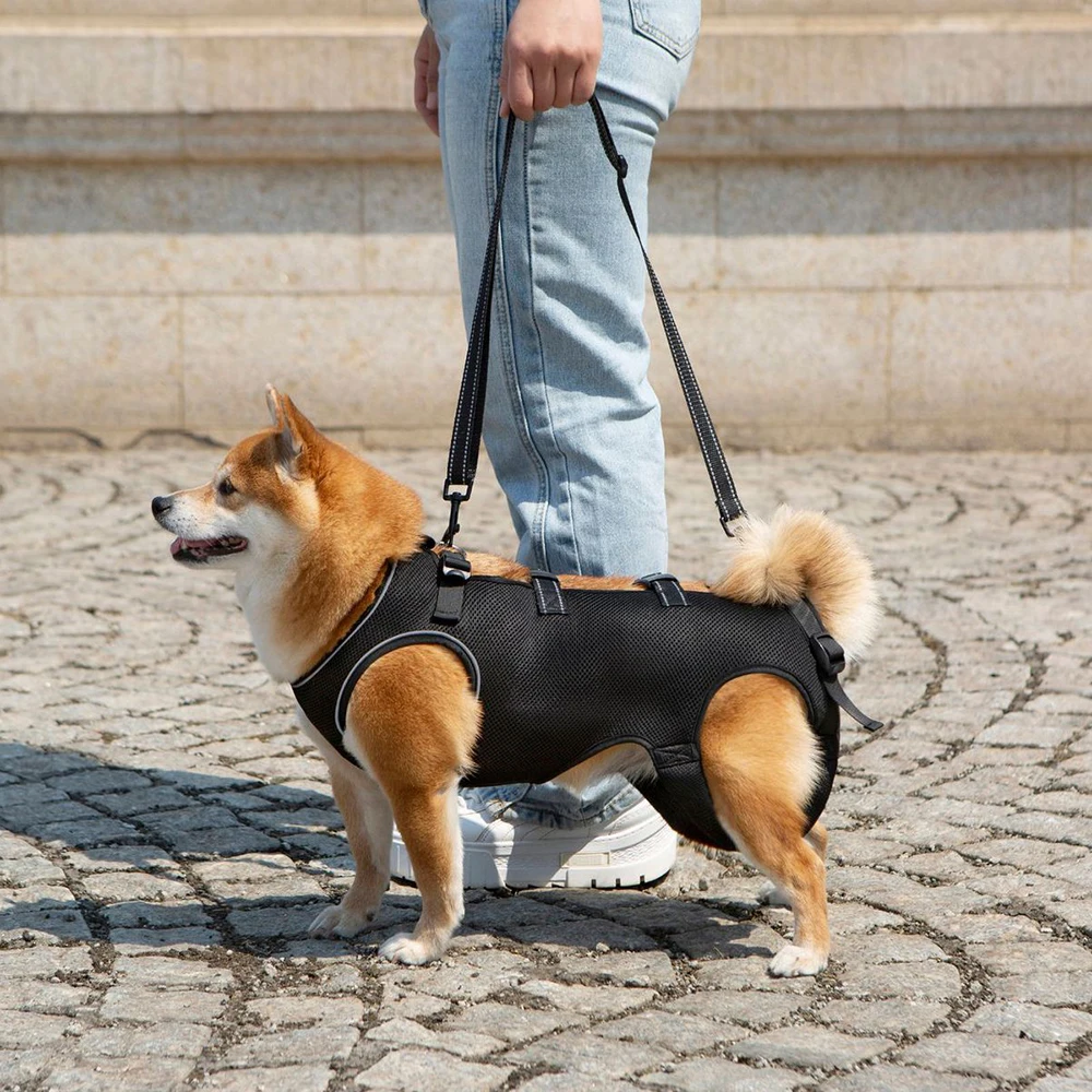 Uso en paseo con iluminación
