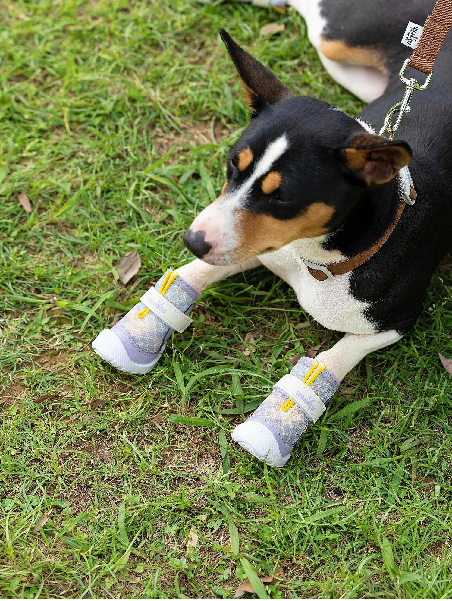Botas antideslizantes transpirables para perro con correa ajustable - imagen 4