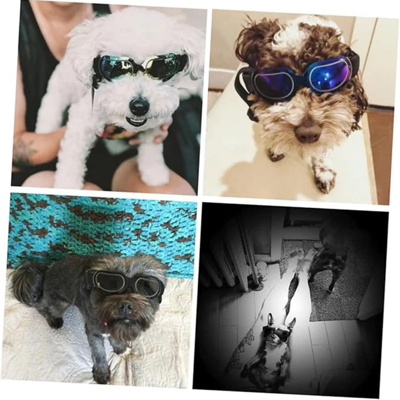 Gafas de sol divertidas para perros en fiestas