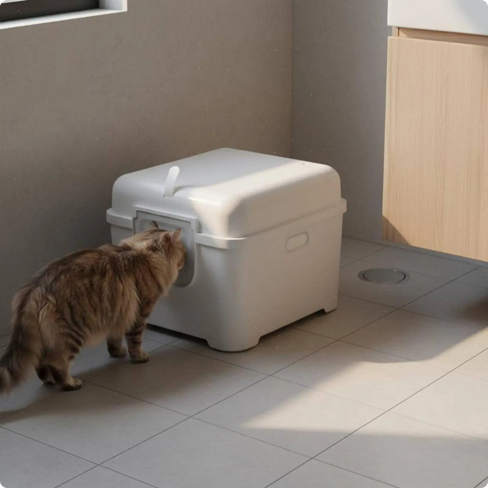 Arenero para gatos en entorno doméstico