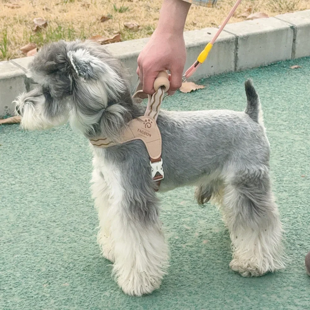 Arnés de colores para perros pequeños