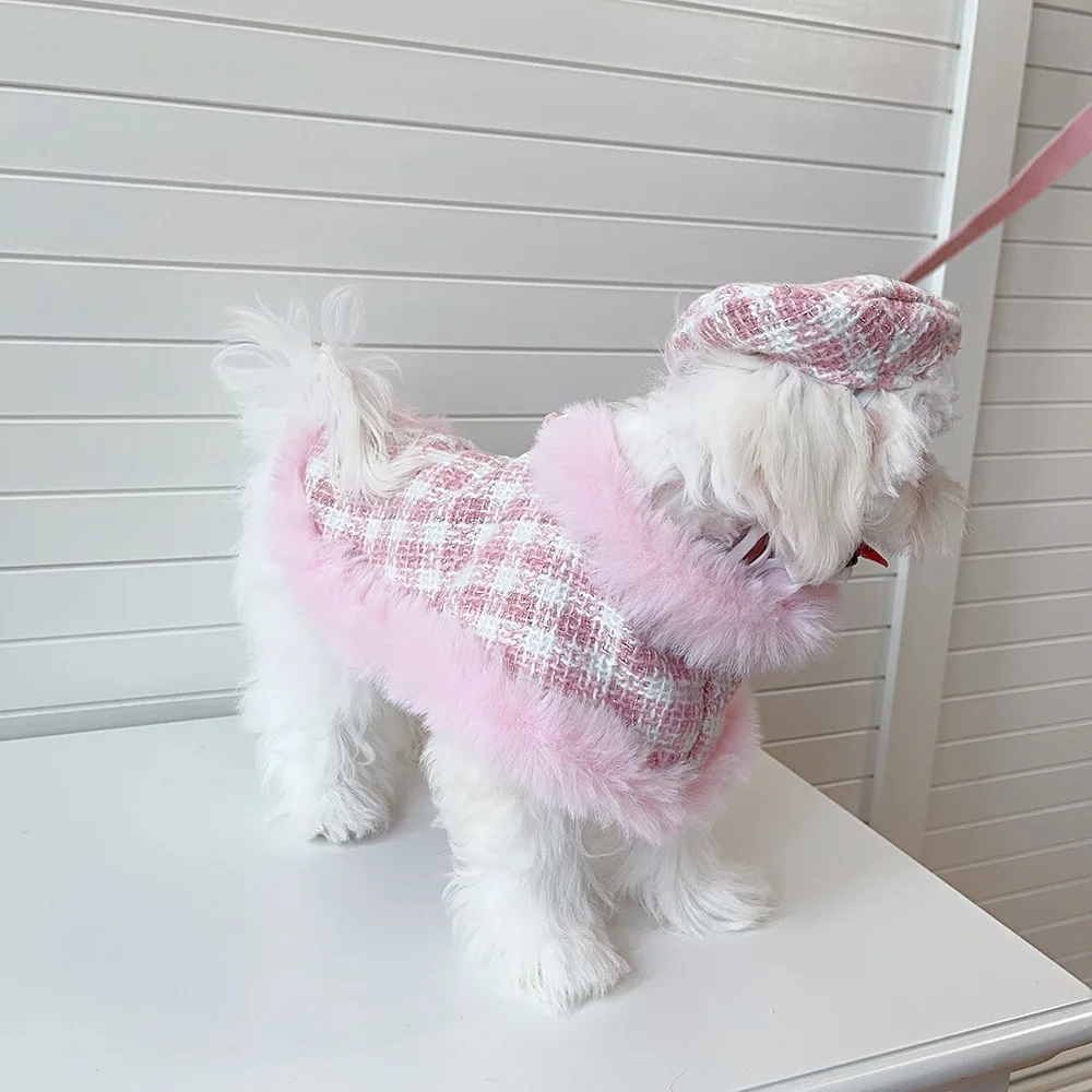 Perro pequeño llevando el abrigo a cuadros