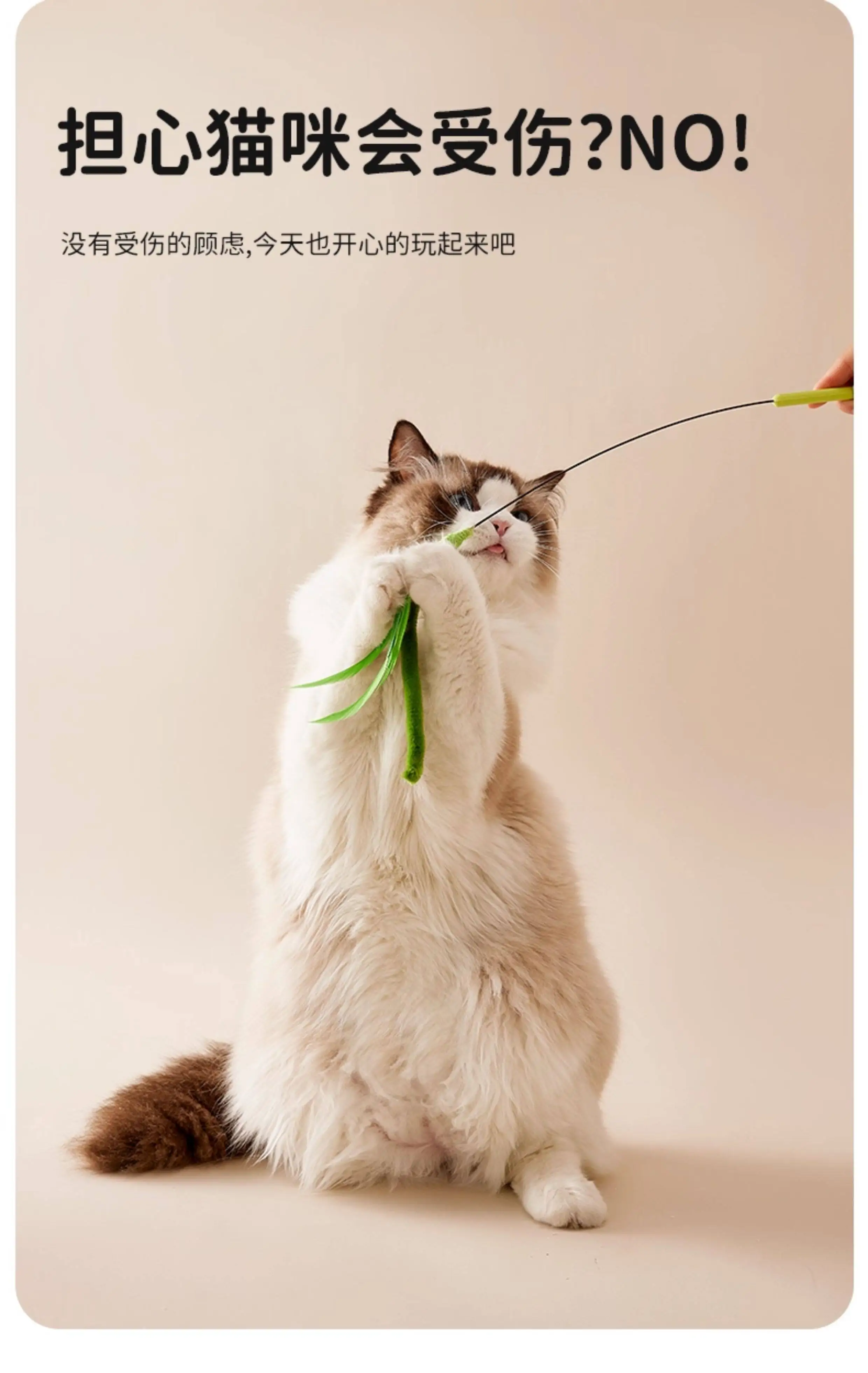 Gatito jugando de forma supervisada