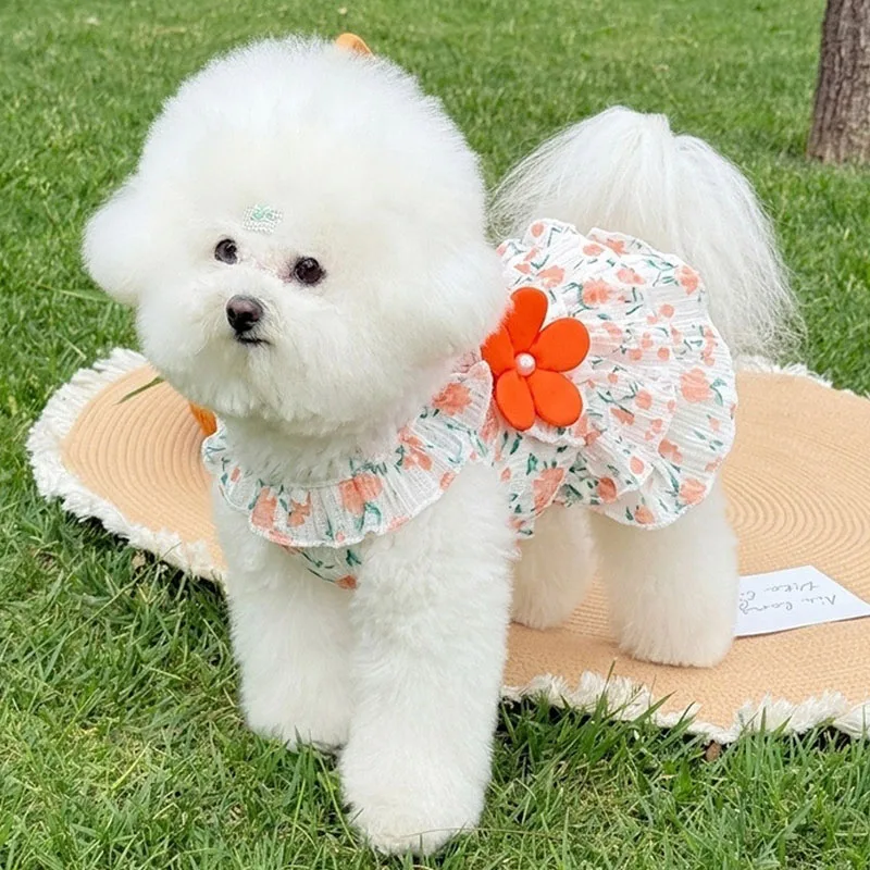 Vestido para perritas pequeñas con volantes – Bichón Frisé y Poodle - imagen 3