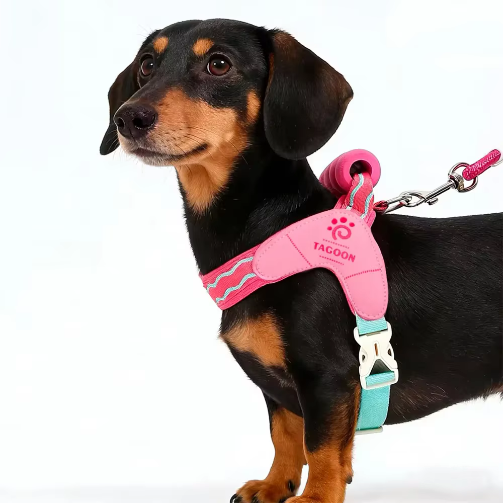 Arnés para perro en tono pastel