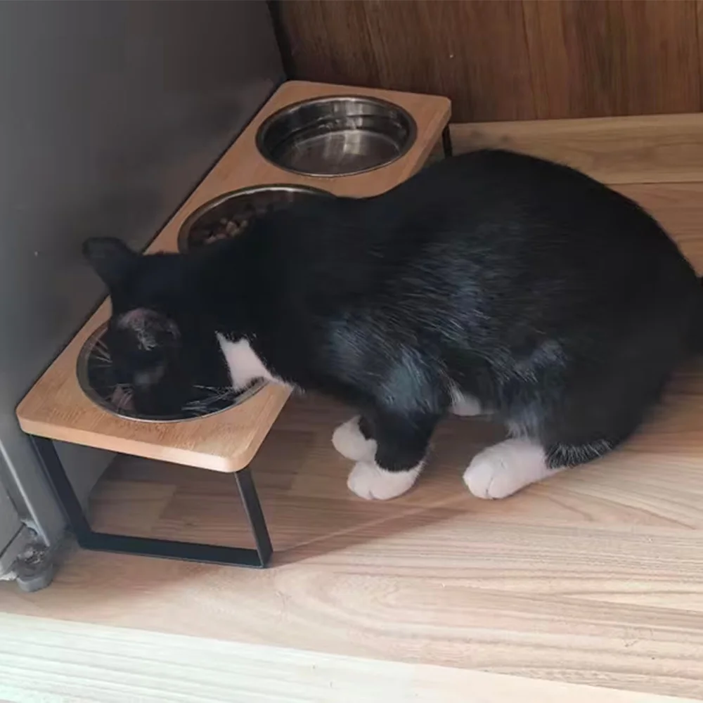 Comedero elevado inclinado para gatos y perros pequeños, con acero - imagen 2