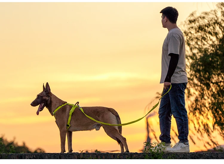 Arnrés reflectante para perros