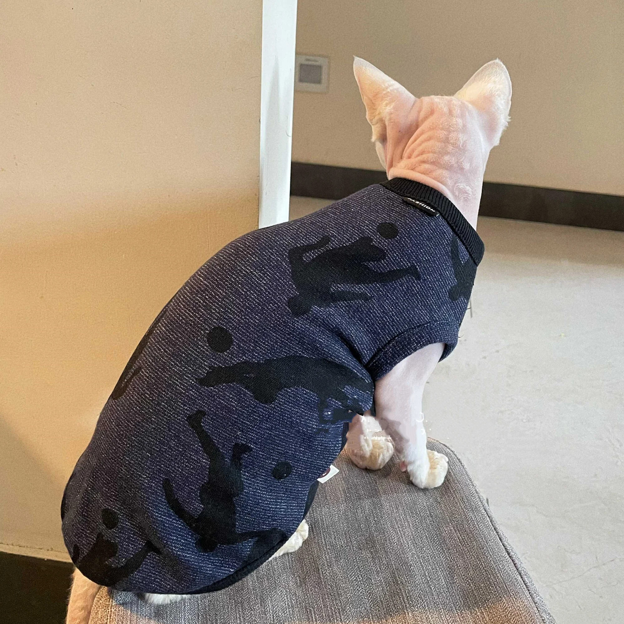Gato descansando con la ropa puesta