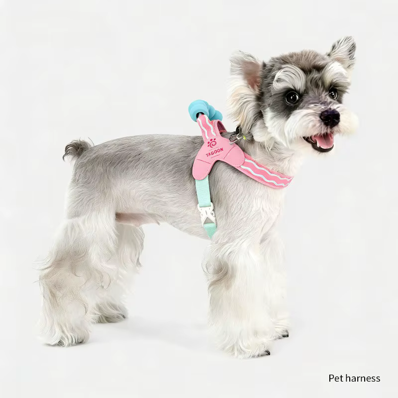 Arnés ajustable acolchado para perros pequeños – Chihuahua y Schnauzer - imagen 4