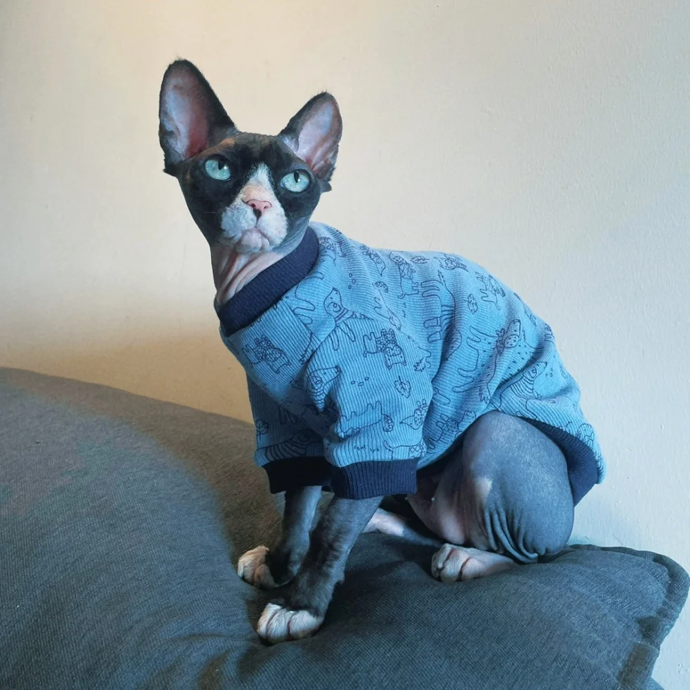 Camiseta elástica suave para gato Sphynx azul primaveral – Ropa floral rosa - imagen 3