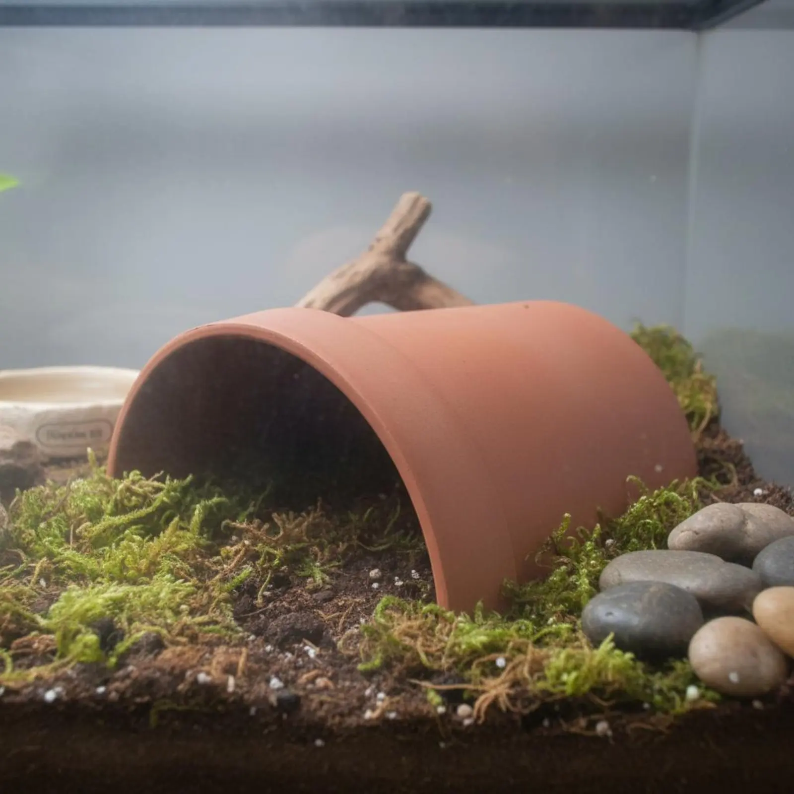 Escondite para tortugas y anfibios con cueva para tomar el sol - imagen 4