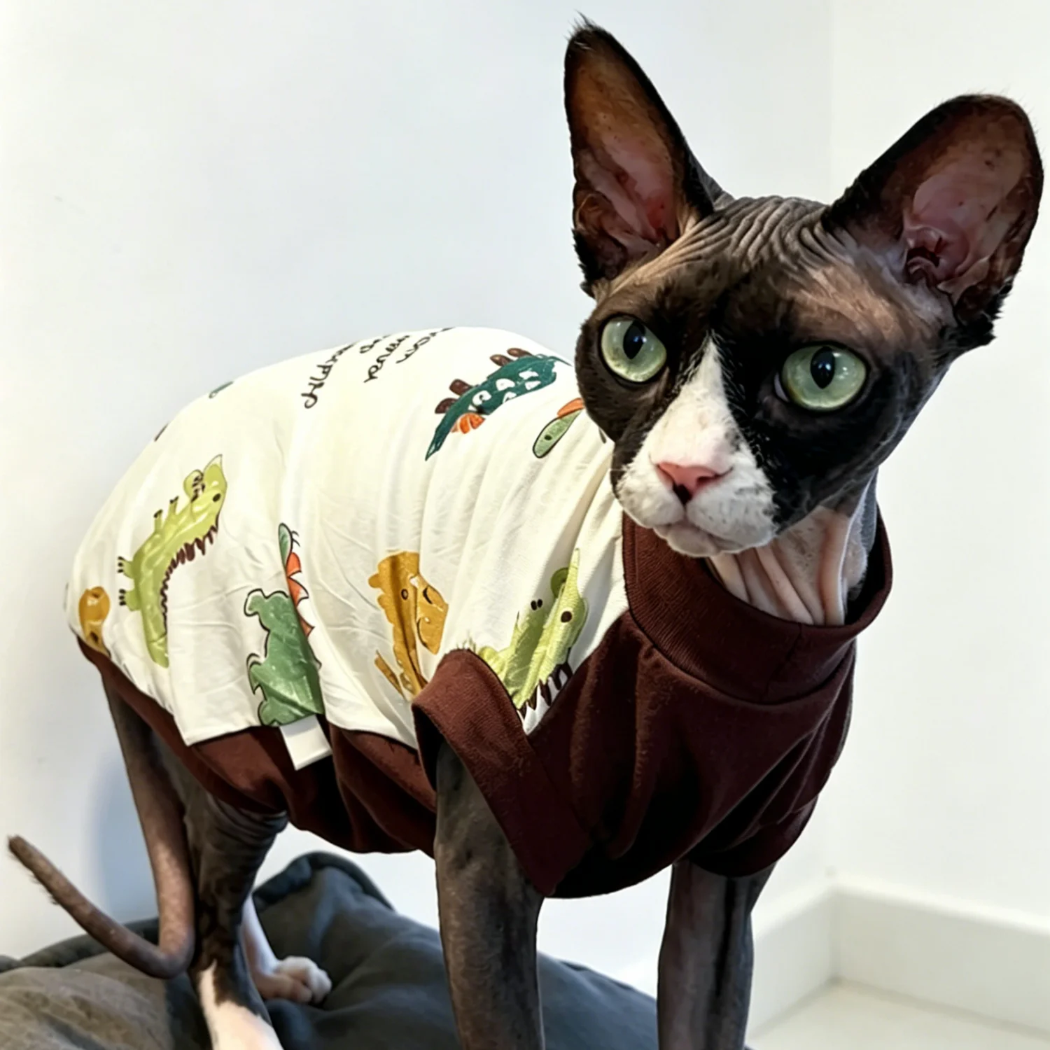 Chaleco de algodón para gatos Sphynx sin pelo, dinosaurios - imagen 4