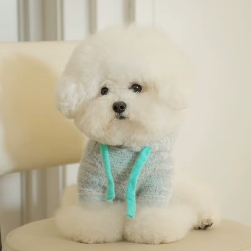 Sudadera Capucha para Perro – Felpa Otoño Invierno Teddy Schnauzer - imagen 3