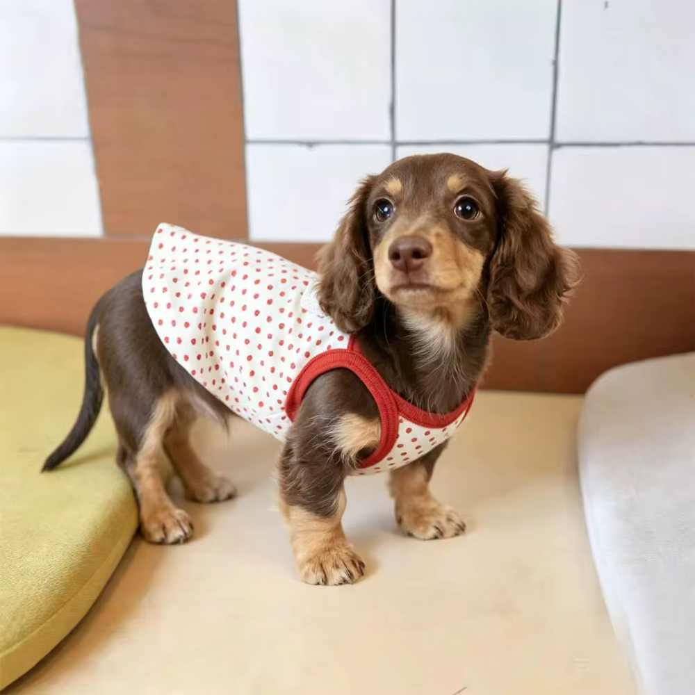 Vestido de algodón con lunares para perros salchicha, falda de verano - imagen 4
