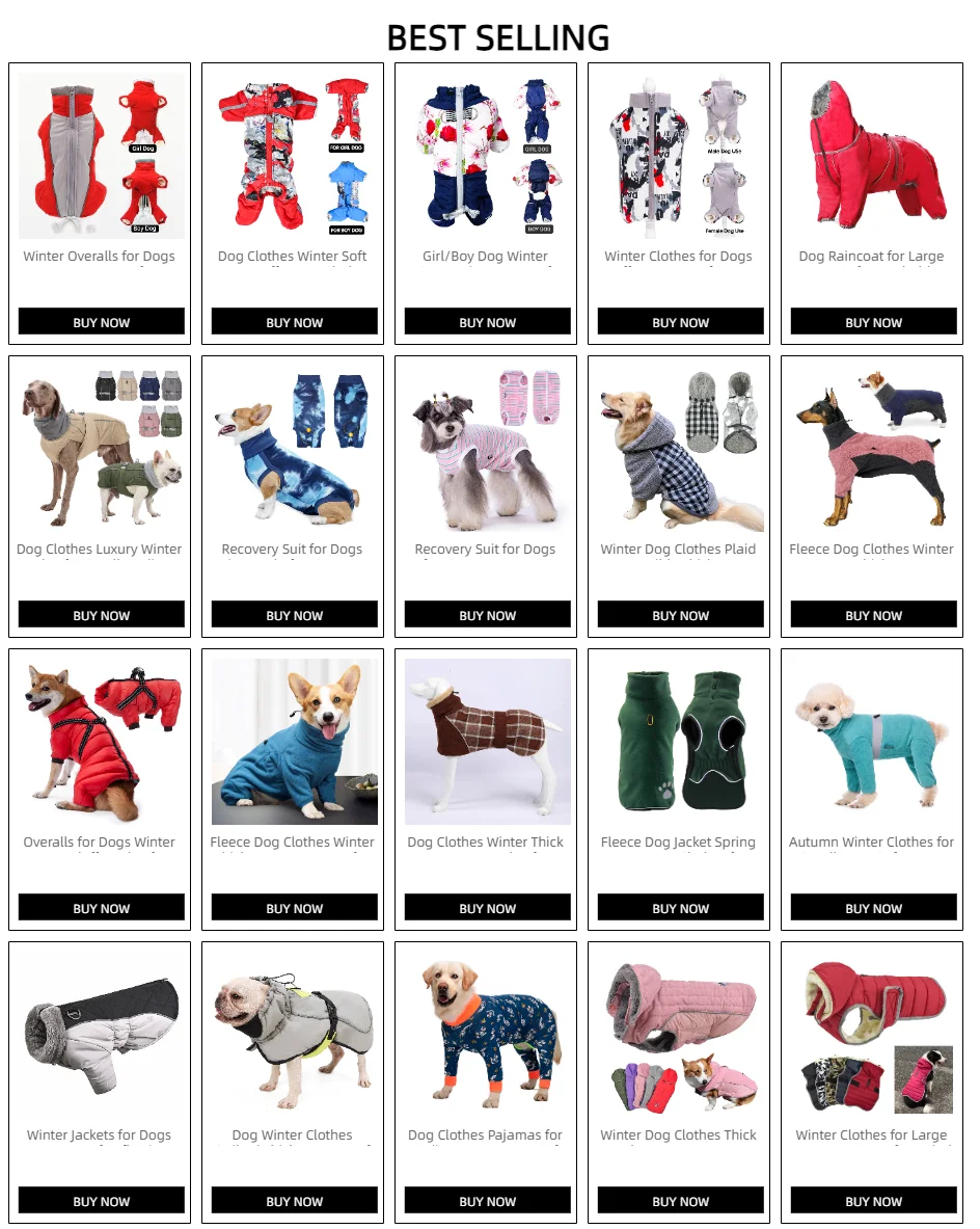 Perro con chaqueta impermeable