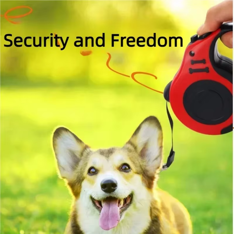 Correa retráctil 5m para perros y gatos – Nylon resistente - imagen 2
