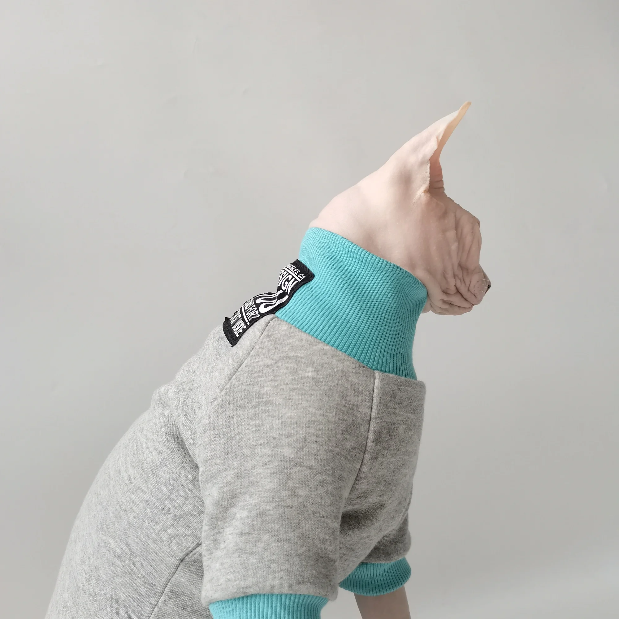 Gato en casa con abrigo