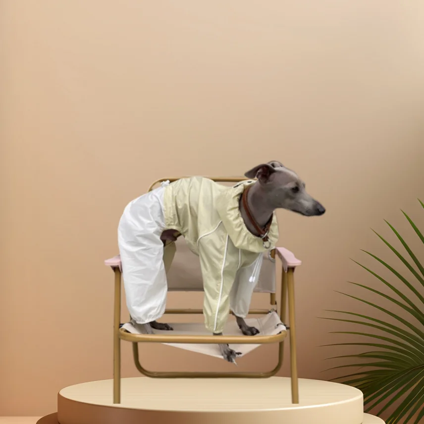 Traje impermeable UPF50+ ligero para galgo italiano, perro - imagen 2