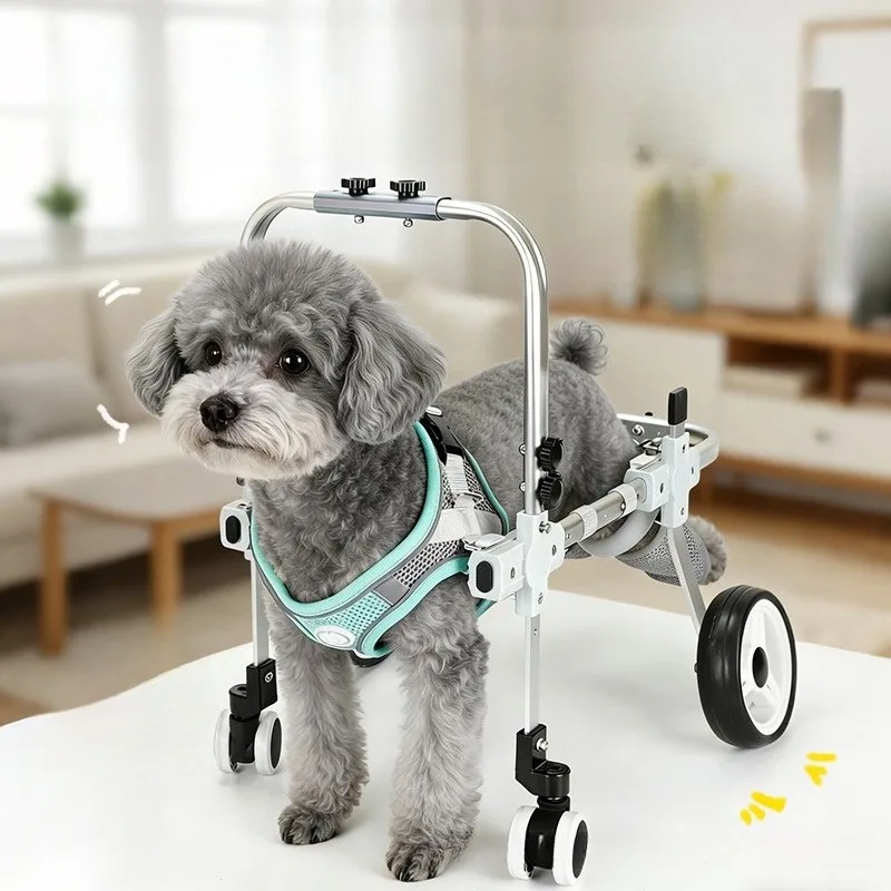Perro mayor usando el carrito de movilidad en entorno doméstico