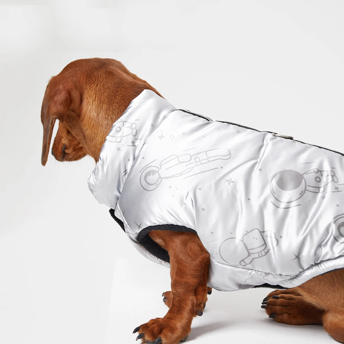Chaleco sin mangas colocado en perro salchicha