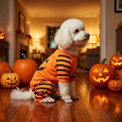 Mono Halloween calabaza para perros y gatos pequeños y medianos
