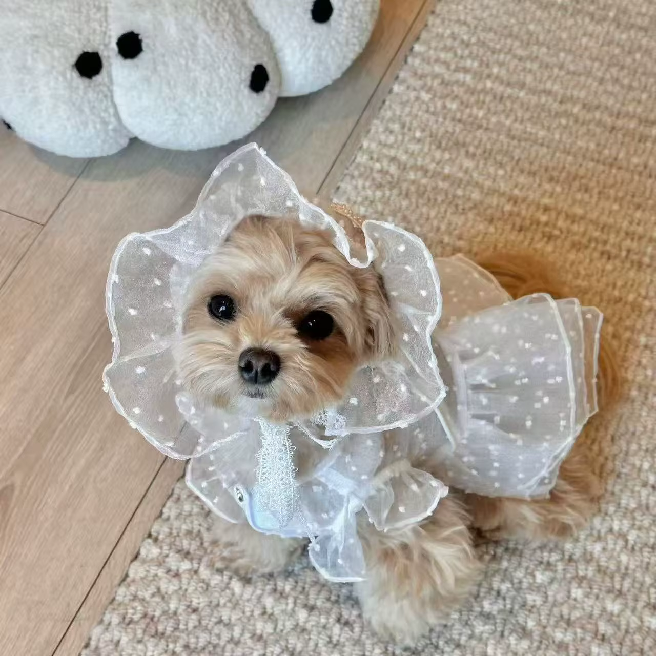Vestido de princesa de encaje para perros pequeños y gatos - imagen 4