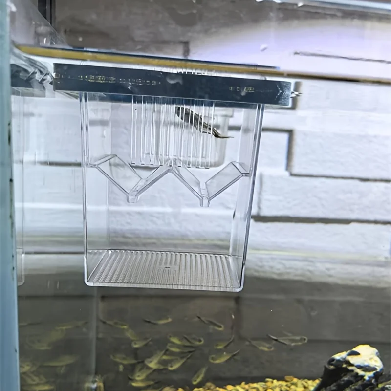 Caja colocada dentro de un acuario comunitario